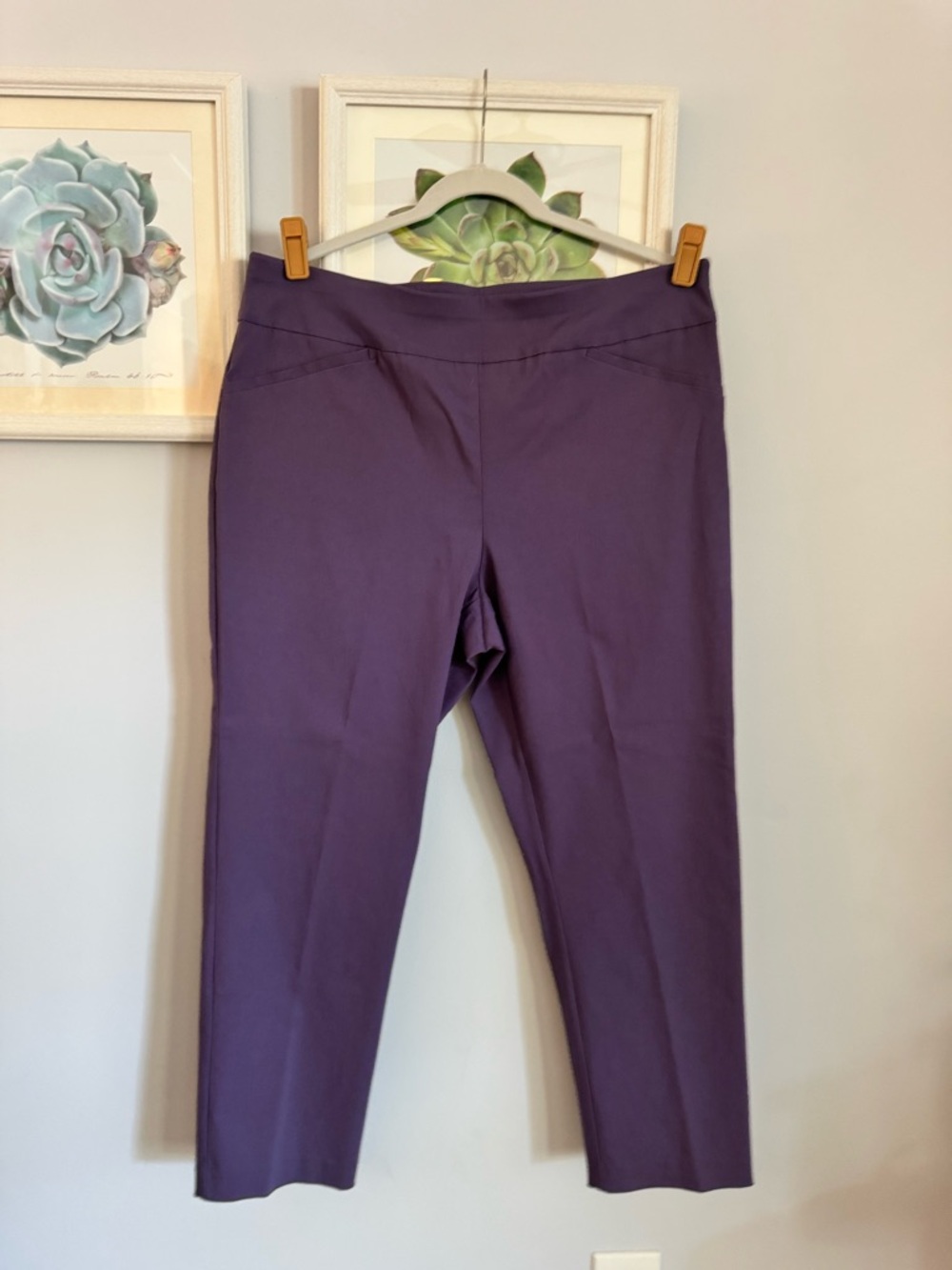 Chico's Deep Purple Ankle Pants